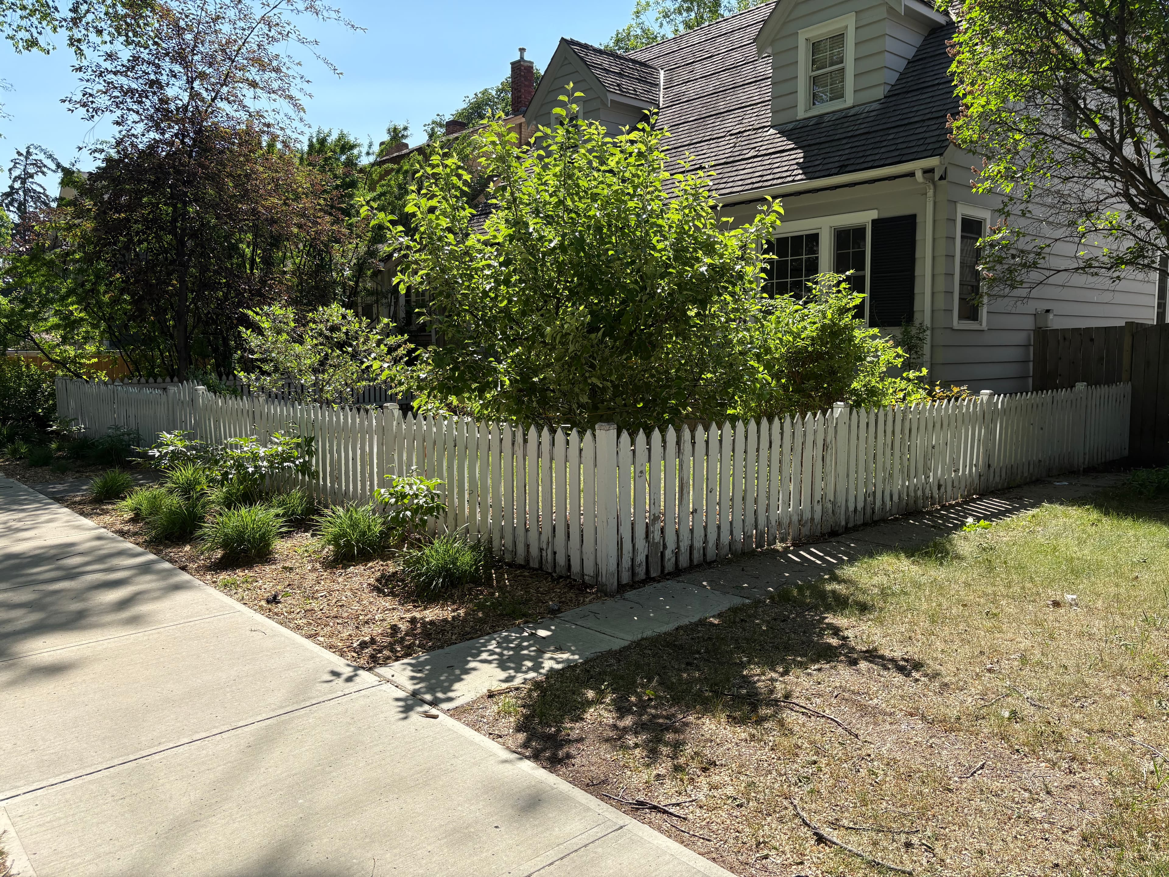 Wooden picket fence before repaint
