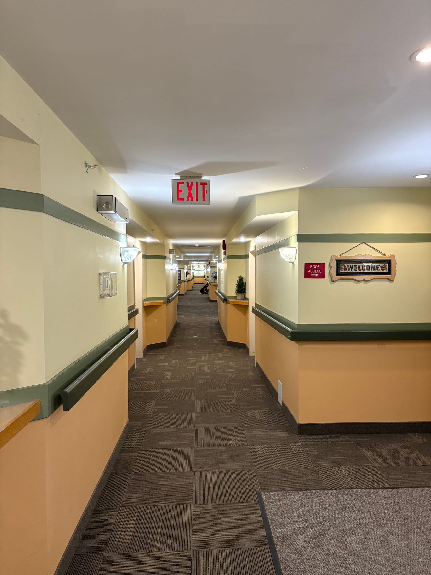 Repainted apartment corridor with cream walls, sage green trim and a fresh finish on the doors