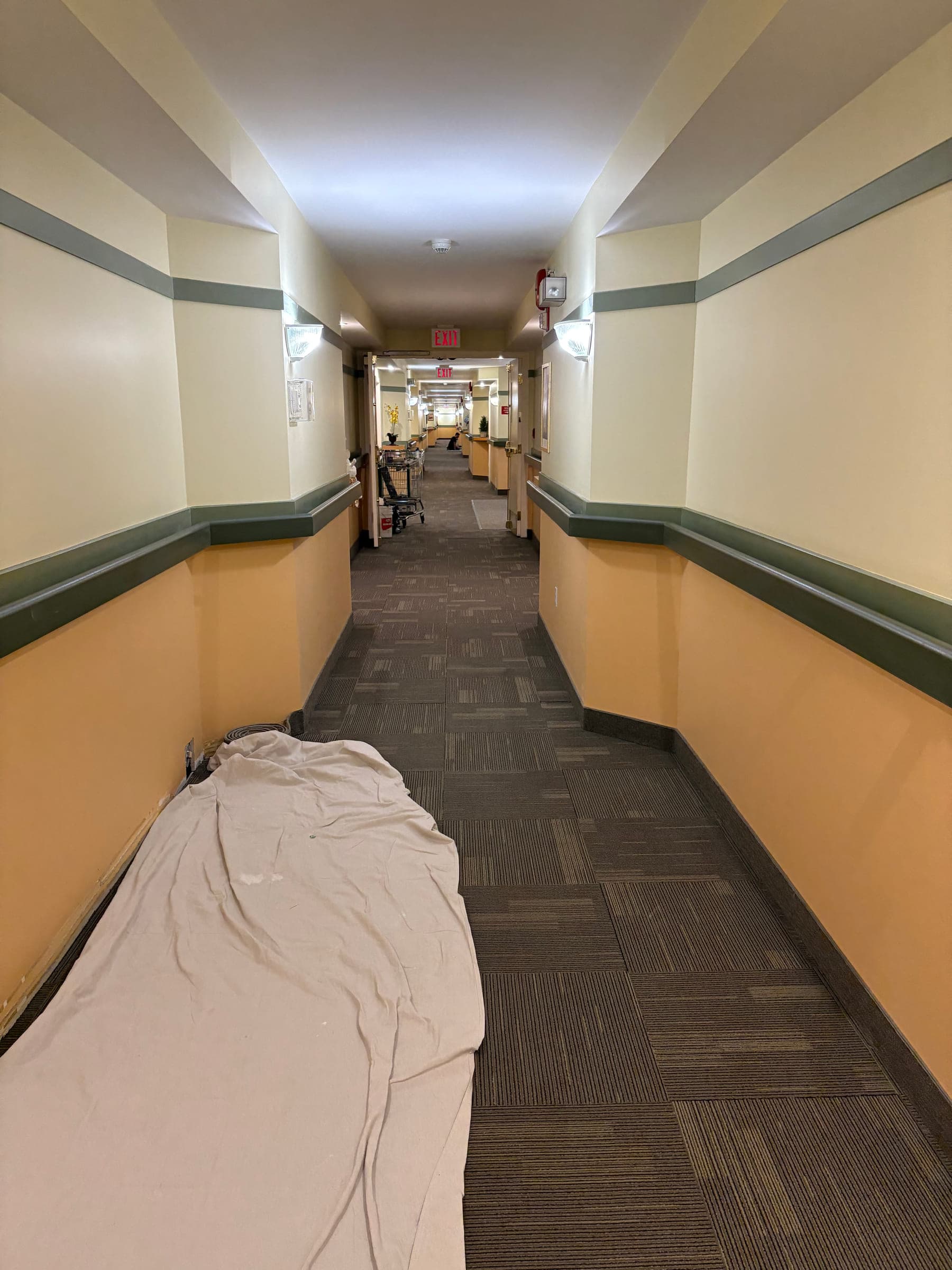Apartment building corridor being repainted in cream and sage, with drop sheets protecting the carpet